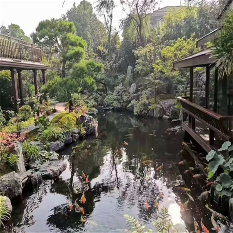茂名小庭院假山鱼池